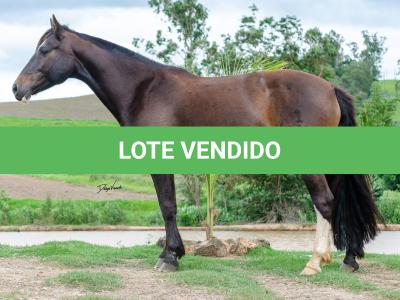 LOTE 002 - INQUIETA 1514E MAUFER (2x1)