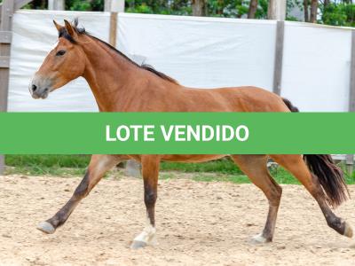 LOTE 012 - AURORA ESM DA PPMP