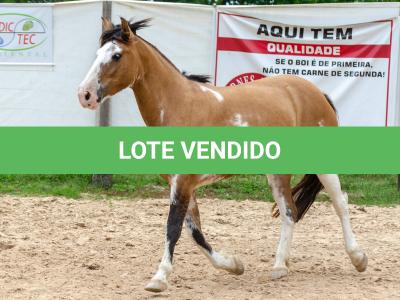 LOTE 008 - DEBOCHADA ESM DA PPMP