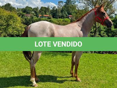 LOTE 012 - ODIN MOON FLY