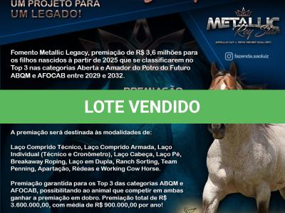 LOTE 019 - METALLIC REY STAR 4M