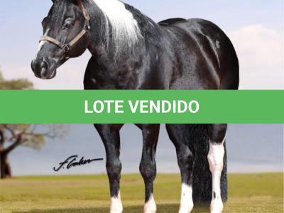 LOTE 002 - QT TRU STREKE
