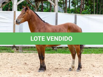 LOTE 010 - AMULETO ESM DA PPMP