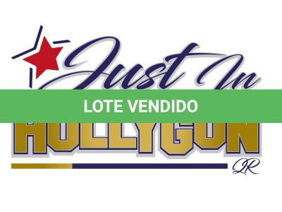 LOTE 012 - JUST IN HOLLYGUN QR