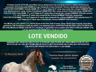 LOTE 019 - METALLIC REY STAR 4M
