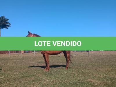LOTE 012 - HEZA TO KEYS MPQ