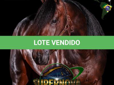 LOTE 007 - SUPERNOVA HANOVER