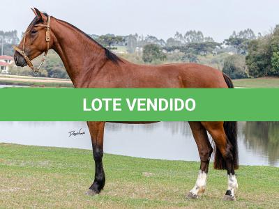 LOTE 002 - LABAREDA DA FLORÊNCIA