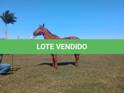 LOTE 012 - HEZA TO KEYS MPQ