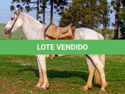LOTE 009 - DANÇARINA DA ARKAFLA