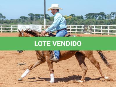 LOTE 018 - CD COBALT WHIZ