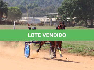 LOTE 003 - RB P MONICK  (Ventre com Cobertura Exclusiva)