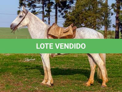 LOTE 009 - DANÇARINA DA ARKAFLA
