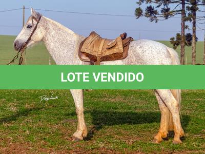 LOTE 009 - DANÇARINA DA ARKAFLA