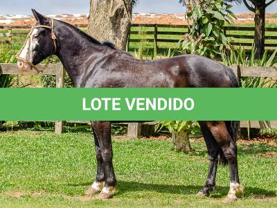LOTE 012 - UTRILLO DO RINCÃO  DAS HORTÊNCIAS