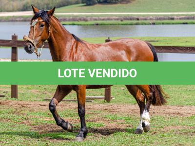 LOTE 002 - LABAREDA DA FLORÊNCIA