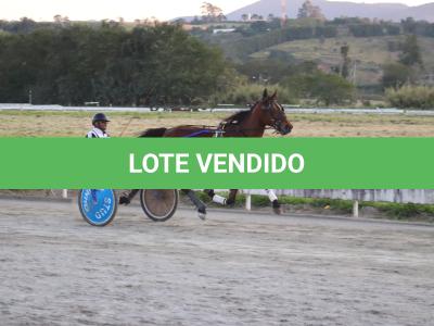 LOTE 003 - RB P MONICK  (Ventre com Cobertura Exclusiva)