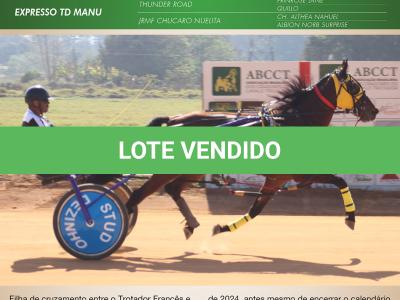 LOTE 003 - RB P MONICK  (Ventre com Cobertura Exclusiva)