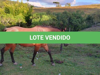 LOTE 023 - DAKOTA