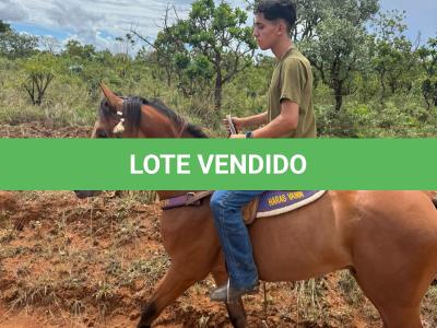 LOTE 009 - TORNADO BEN ROXO