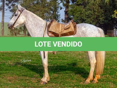 LOTE 009 - DANÇARINA DA ARKAFLA