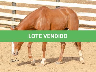 LOTE 015 - DINA ROOSTERS GUN