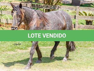 LOTE 010 - CAMPERA DA MARCA ANTIGA
