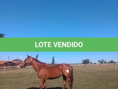 LOTE 012 - HEZA TO KEYS MPQ