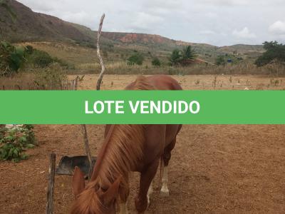 LOTE 019 - SILVER PEPPY DOC