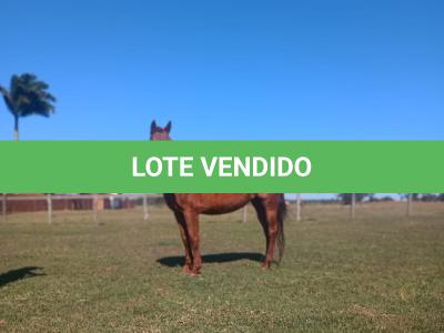 LOTE 012 - HEZA TO KEYS MPQ
