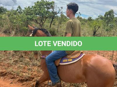 LOTE 009 - TORNADO BEN ROXO