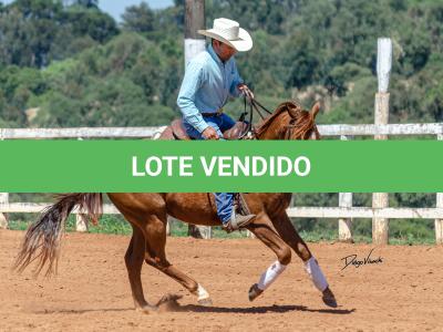 LOTE 018 - CD COBALT WHIZ