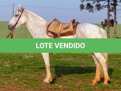 LOTE 009 - DANÇARINA DA ARKAFLA