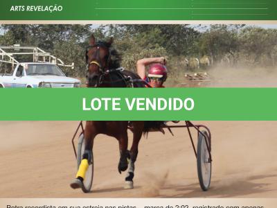 LOTE 001 - REVELAÇÃO SR (Ventre com Cobertura Exclusiva)