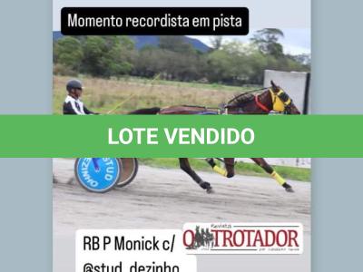LOTE 003 - RB P MONICK  (Ventre com Cobertura Exclusiva)