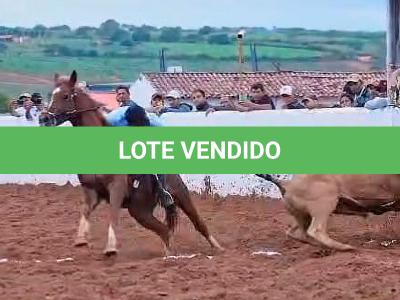 LOTE 019 - SILVER PEPPY DOC