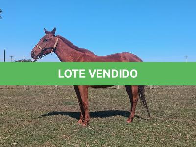 LOTE 012 - HEZA TO KEYS MPQ