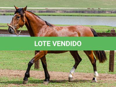 LOTE 002 - LABAREDA DA FLORÊNCIA