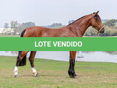 LOTE 002 - LABAREDA DA FLORÊNCIA