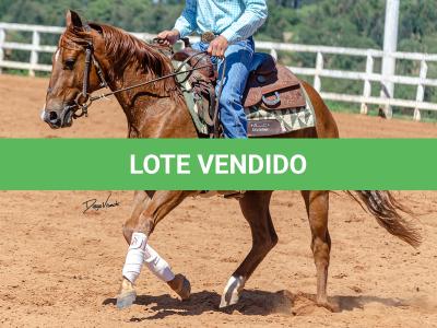 LOTE 018 - CD COBALT WHIZ