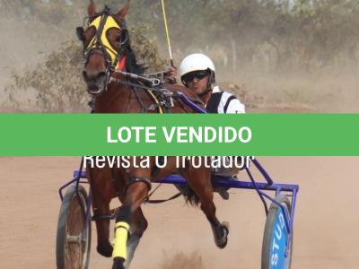 LOTE 003 - RB P MONICK  (Ventre com Cobertura Exclusiva)