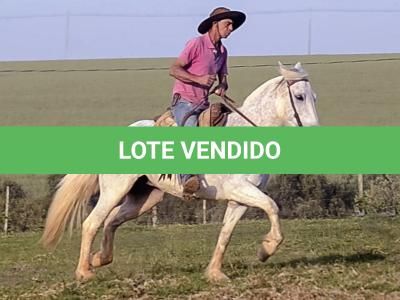 LOTE 009 - DANÇARINA DA ARKAFLA