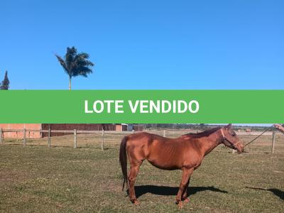 LOTE 012 - HEZA TO KEYS MPQ