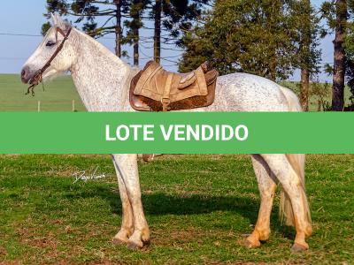 LOTE 009 - DANÇARINA DA ARKAFLA