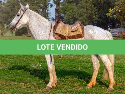 LOTE 009 - DANÇARINA DA ARKAFLA