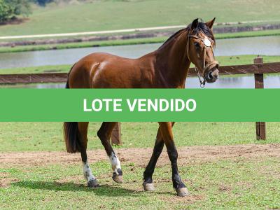 LOTE 002 - LABAREDA DA FLORÊNCIA