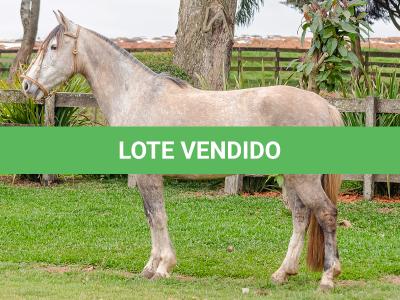 LOTE 004 - TACA CRIOLLA BIEN MANDADA