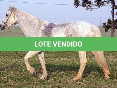 LOTE 009 - DANÇARINA DA ARKAFLA
