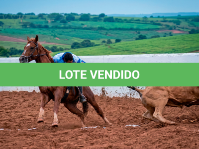 LOTE 019 - SILVER PEPPY DOC