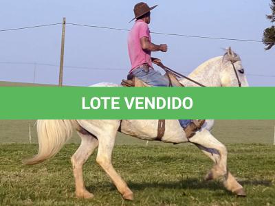 LOTE 009 - DANÇARINA DA ARKAFLA